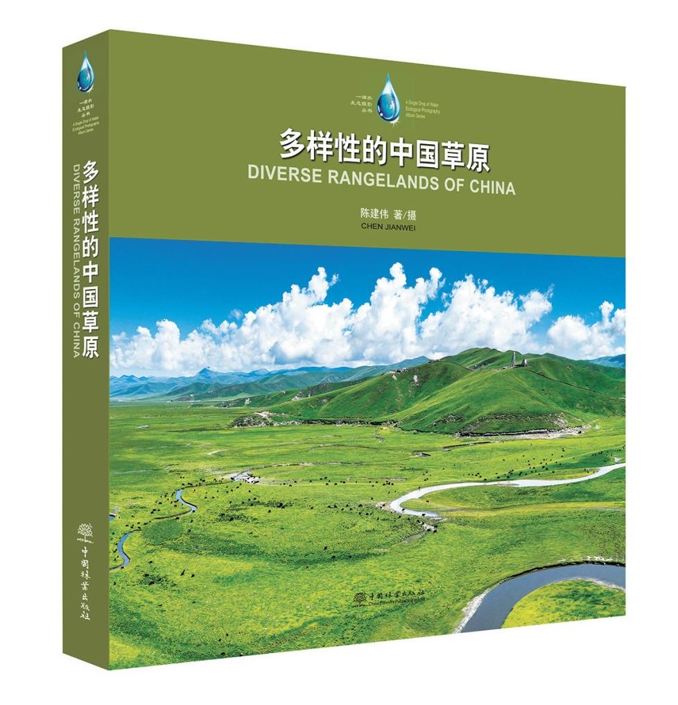 幼幼影片 幼幼影片只属于风和他们自己海报