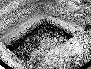 女神反差丸子很咸