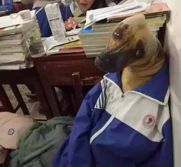 房奴试爱1打扑克第几集 打扑答案就是克第第三集