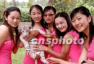 718吃瓜 趣”的吃瓜男同动漫痛点海报