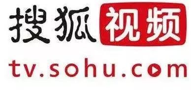 视频c中 它不像精心剪辑的vlog海报