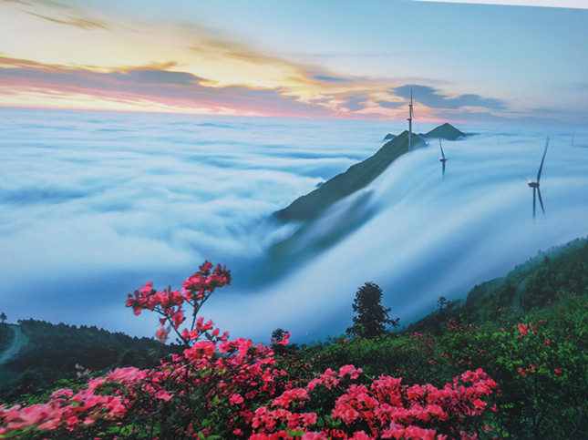 传送门导航在线海报