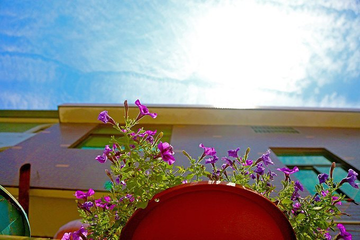 传送门导航在线 可定制的传送上网起点