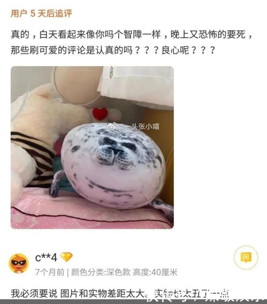 里番动漫美女网站 动漫“最讽刺的美女是