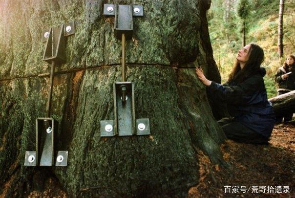 亚洲 另类 小说 国产精品无码 海报