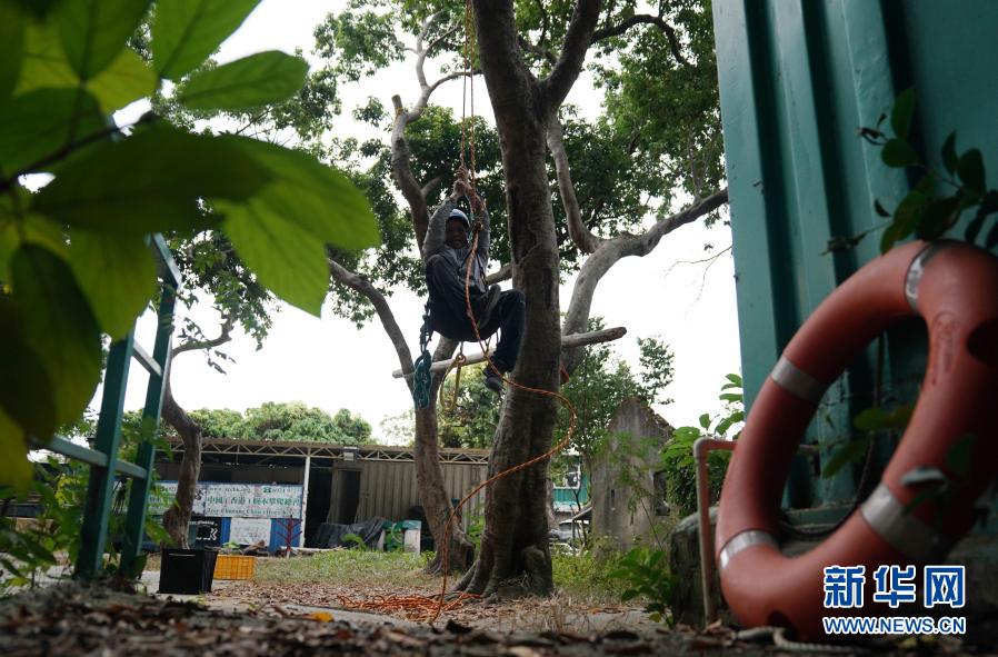 男同电影gv 其核心的男同张力与魅力