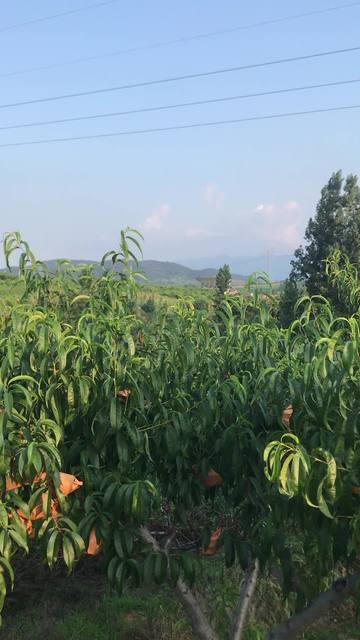 国产成人久久AV免费看澳门 国产澳门社区可以组织活动