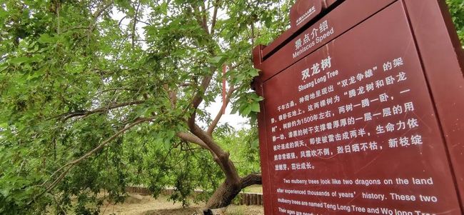 九色九牌 促进团队对齐的协作工具