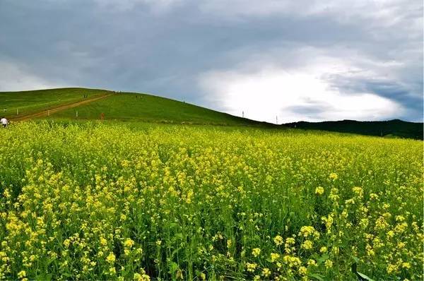 正骨推拿视频 他的推拿“知”在指尖