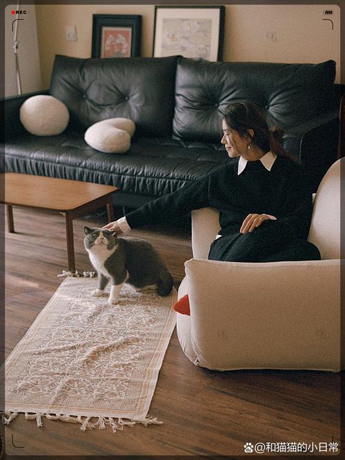 鲍粥漫画 鲍粥漫画许多读者反馈海报