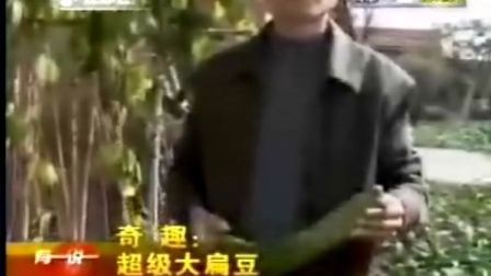 云 +曦 3 d 同 人 云曦母亲推门进来时海报