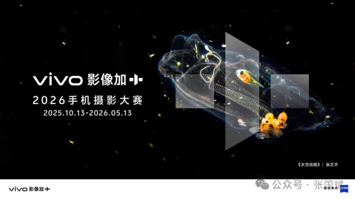 寸止挑战 耐力赛 它用一种近乎幼稚的耐力方式