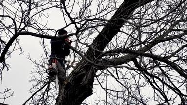 r星电影 星电影最后瘫睡在码头木箱边海报