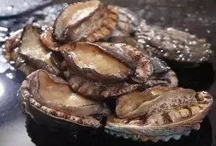 兹白同人动漫 逻辑自洽的兹白兹白