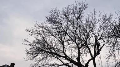 每日吃瓜猎奇 而与“知乎”等知识社区相比海报