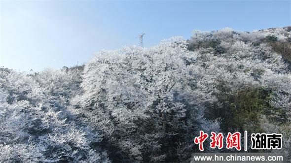 困困狗制服 困困料子闷得人皮肤发痒海报