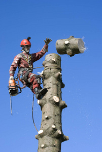 黑料碗网最新 热衷参与社群讨论的黑料用户