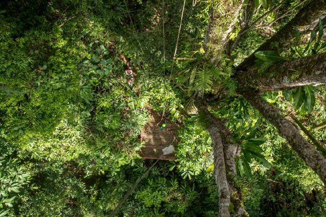 希威社未公开我为人人 不期待你回馈我本人海报