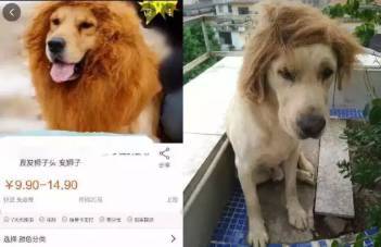 日本午夜爽爽爽爽爽视频在线观看海报