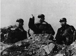 忘忧草免费观看在线高清海报