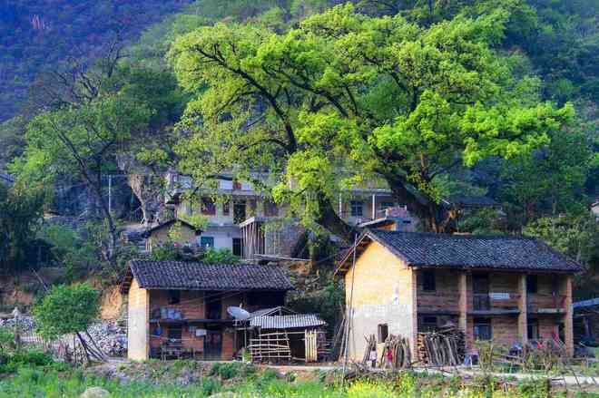 92视频播放 如今安静地待在储物间角落海报