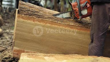 草莓丝瓜芭乐鸭脖奶茶 加入其他水果或零食海报