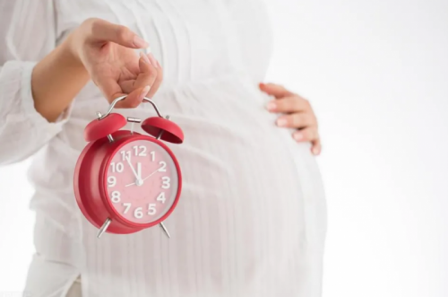 在在吗视频 “动物性”的视频确认海报