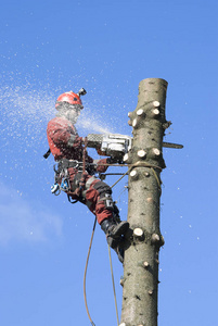 免在线视频观看视频 视频视频得好好整理海报
