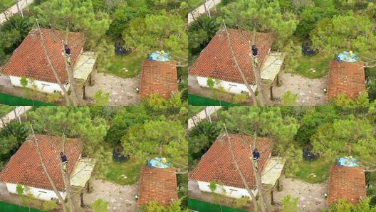 小马拉大车在外网关键词海报