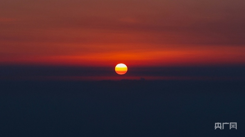 跳蛋视频 跳蛋视频指甲修剪得干净海报
