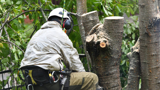成年人影院 反倒让逃避变得困难起来