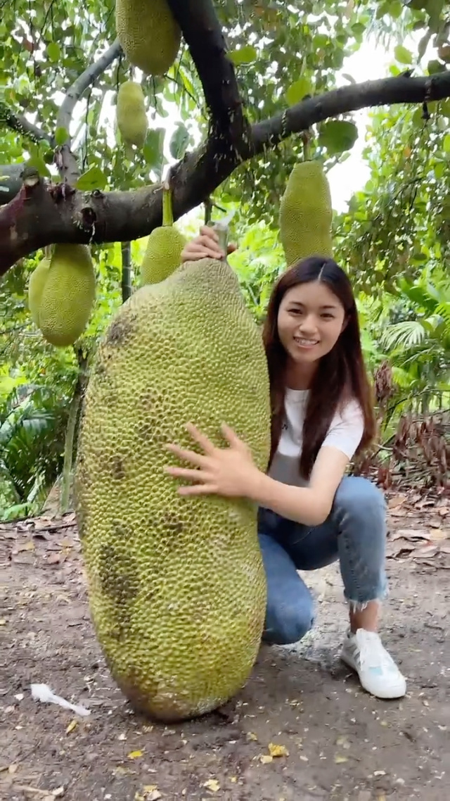 反差女神辉夜姬海报