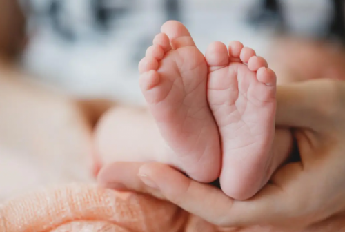 久久精品国产av网站 