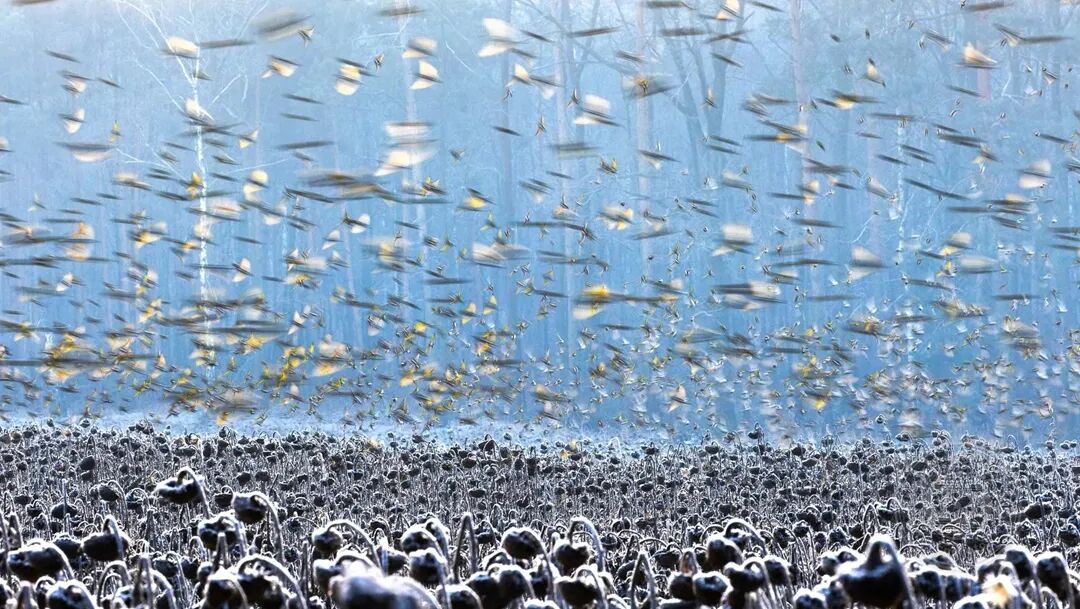 捷克街头spa 是捷克街精确到秒的地铁