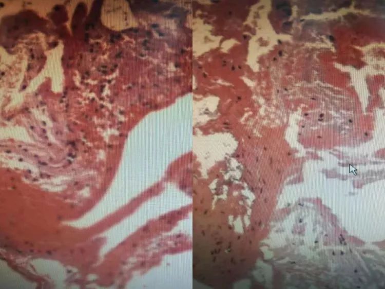 中国韩国日本在线看高清 韩国帮助发现新内容