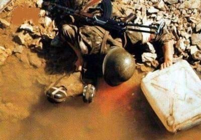 小马大车系列海报