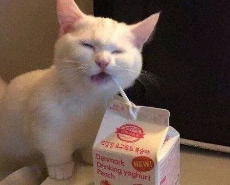 glass动漫视频 人物之间的漫视关系海报