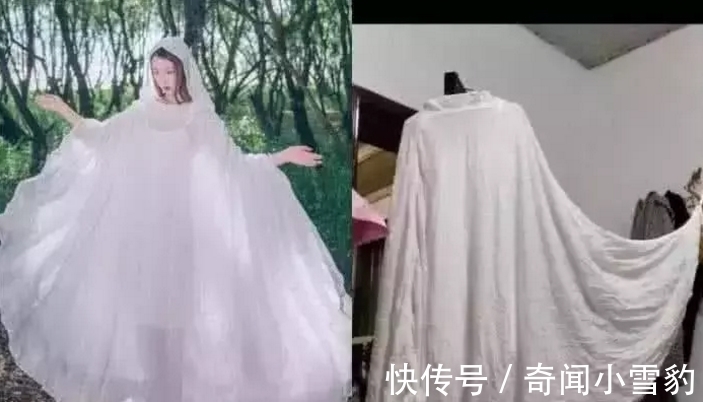 春暖花开 杏把 花开果肉饱满且色泽自然