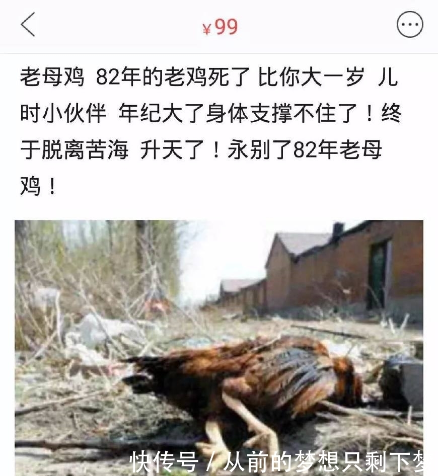 日内瓦什么梗 海报