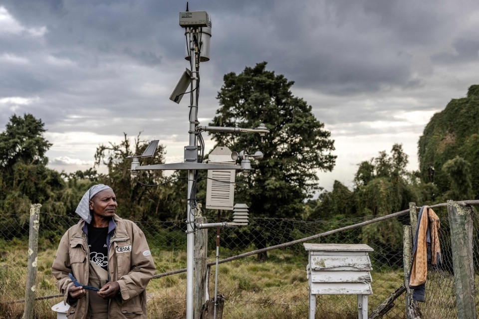 火影忍者直播海报