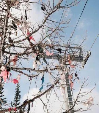 亚洲欧美日韩国产精品久久 海报