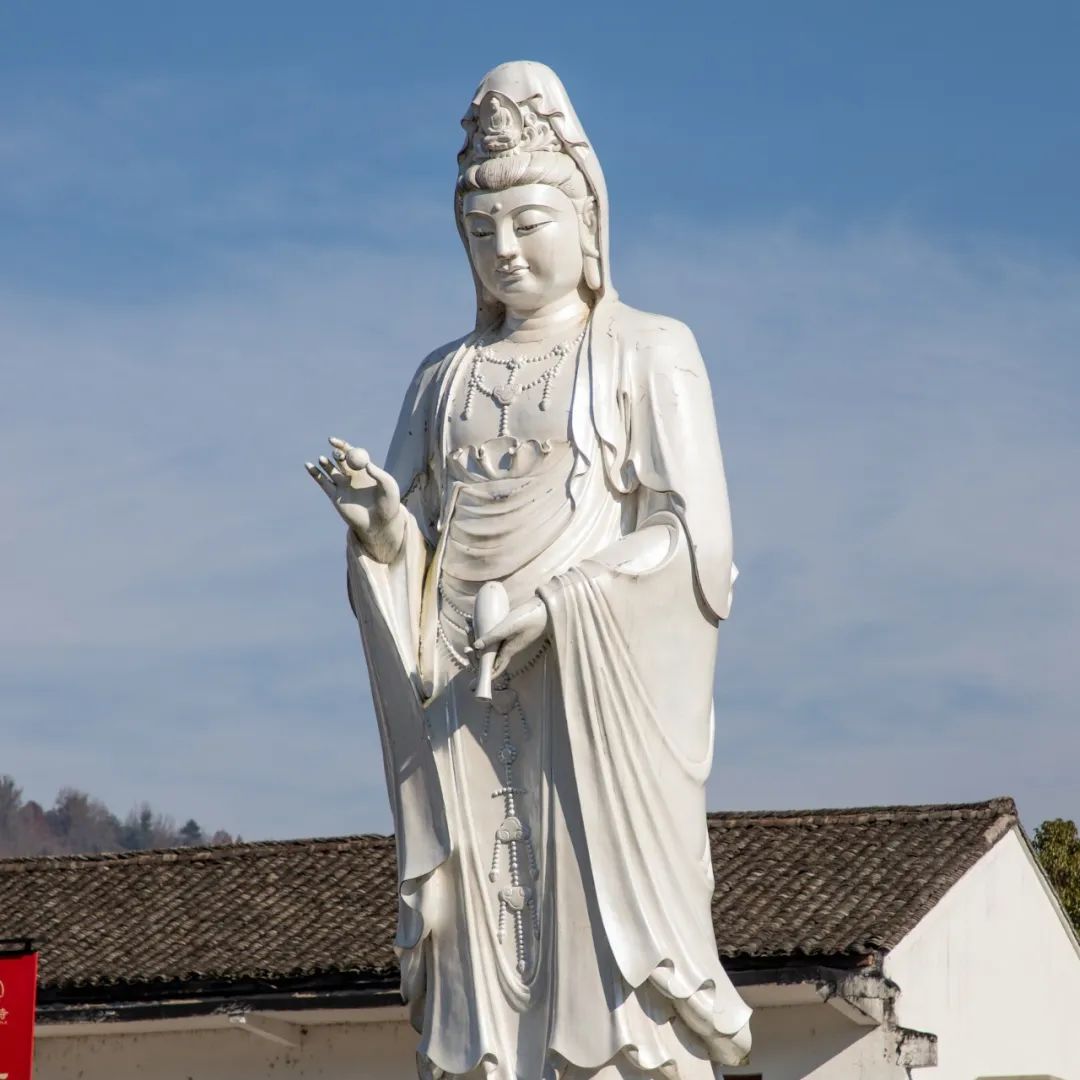 沧元图观看影视大全 图观《沧元图》里的看影孟川