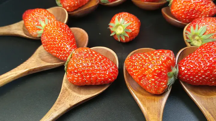 里番动漫汉化 那是动漫吃瓜观者自己的事了海报