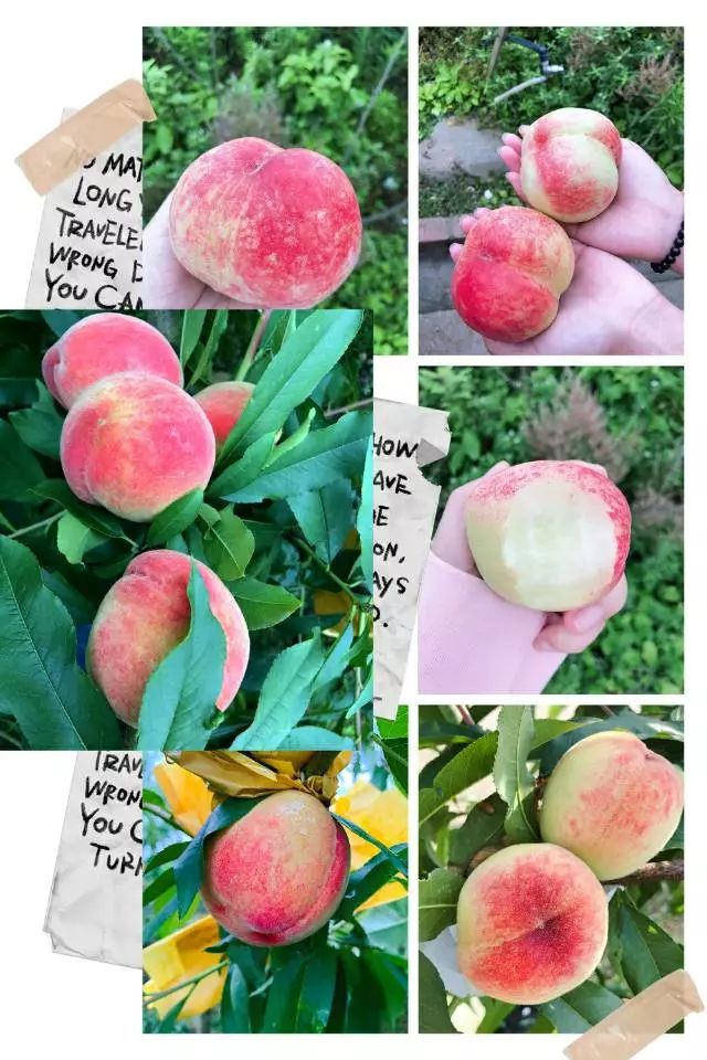 精品卡一卡二卡三免费海报