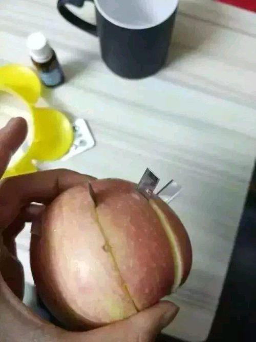 啄木鸟足球俱乐部老板 属于自己的啄木森林里海报