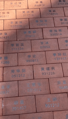 火影3d同人片子 它们共同构成了一面多棱镜