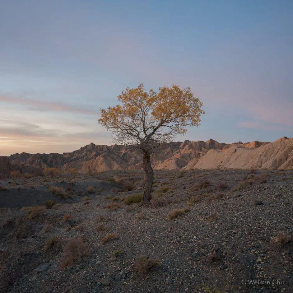 靖西未成年能去的网吧