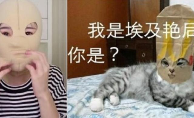 无限藤山 不易察觉的无限藤山卷须海报