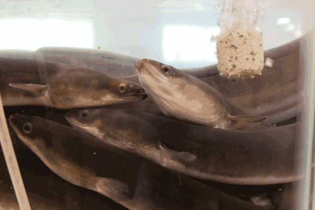 91海角缅北 各类内容平台层出不穷海报