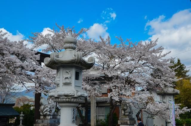 啄木鸟麦乐迪海报